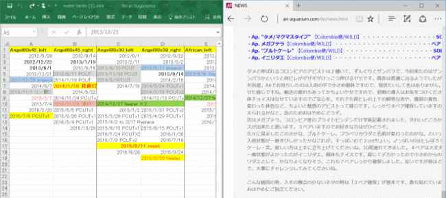 画面半分づつ